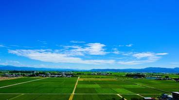 部屋からの景観 / 33