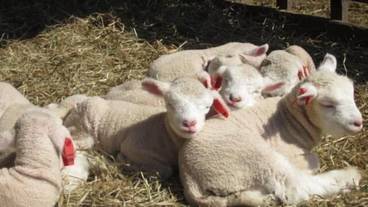 施設の敷地 / 10