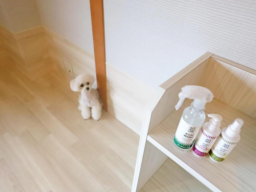 客室