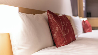 デラックス ツインルーム  (1-3名用)