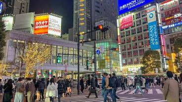 シティ ビュー / 7