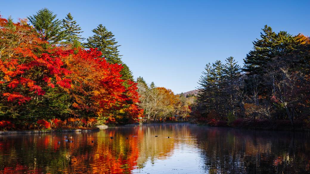 帰りは軽井沢まで
ゆったりドライブ / 1
