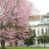 札幌クラークホテル（北海道 ビジネスホテル） / 5