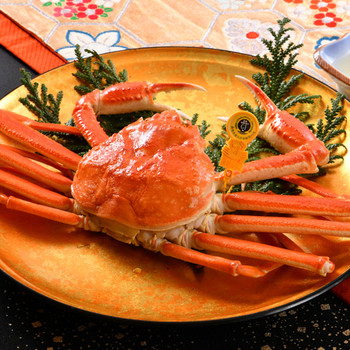 バラエティ豊かな露天風呂付き客室のお宿で、「越前ガニ」を堪能4246679