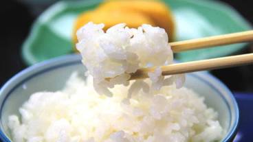 レストラン / 13