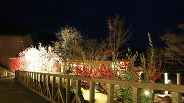 サンデッキ / 18