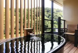 箱根湯本温泉 箱根水明荘