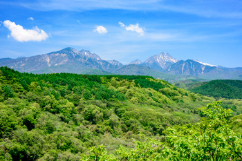 Fresh green and Yatsugatake