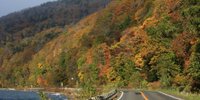 秋は北海道支笏湖へ！癒しの紅葉を眺めよう♪