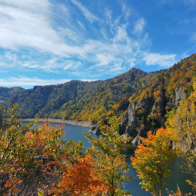 milkyandchyocoさんの写真 / 4