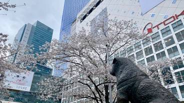 観光スポット / 5