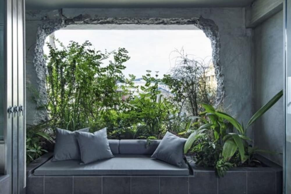 テラス / パティオ