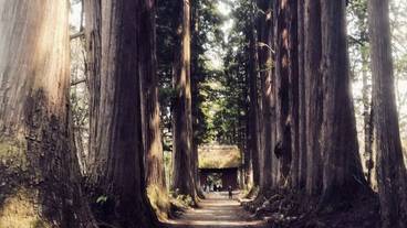 観光スポット / 3