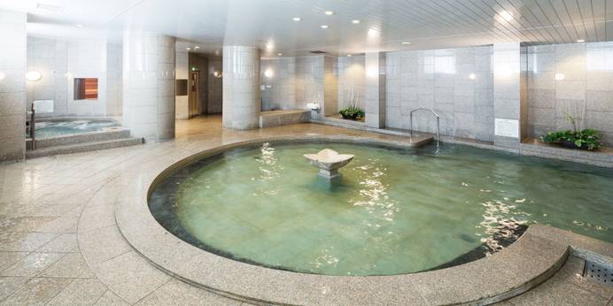 ホテルマイステイズプレミア 札幌パーク（北海道 シティホテル） / 1