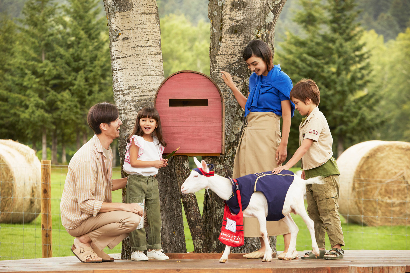 プライベートサウナ付き客室も♡大自然の中でアクティビティ&絶景を満喫4373171