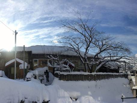 おたるないバックパッカーズホステル杜の樹 / 4