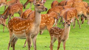 観光スポット / 7