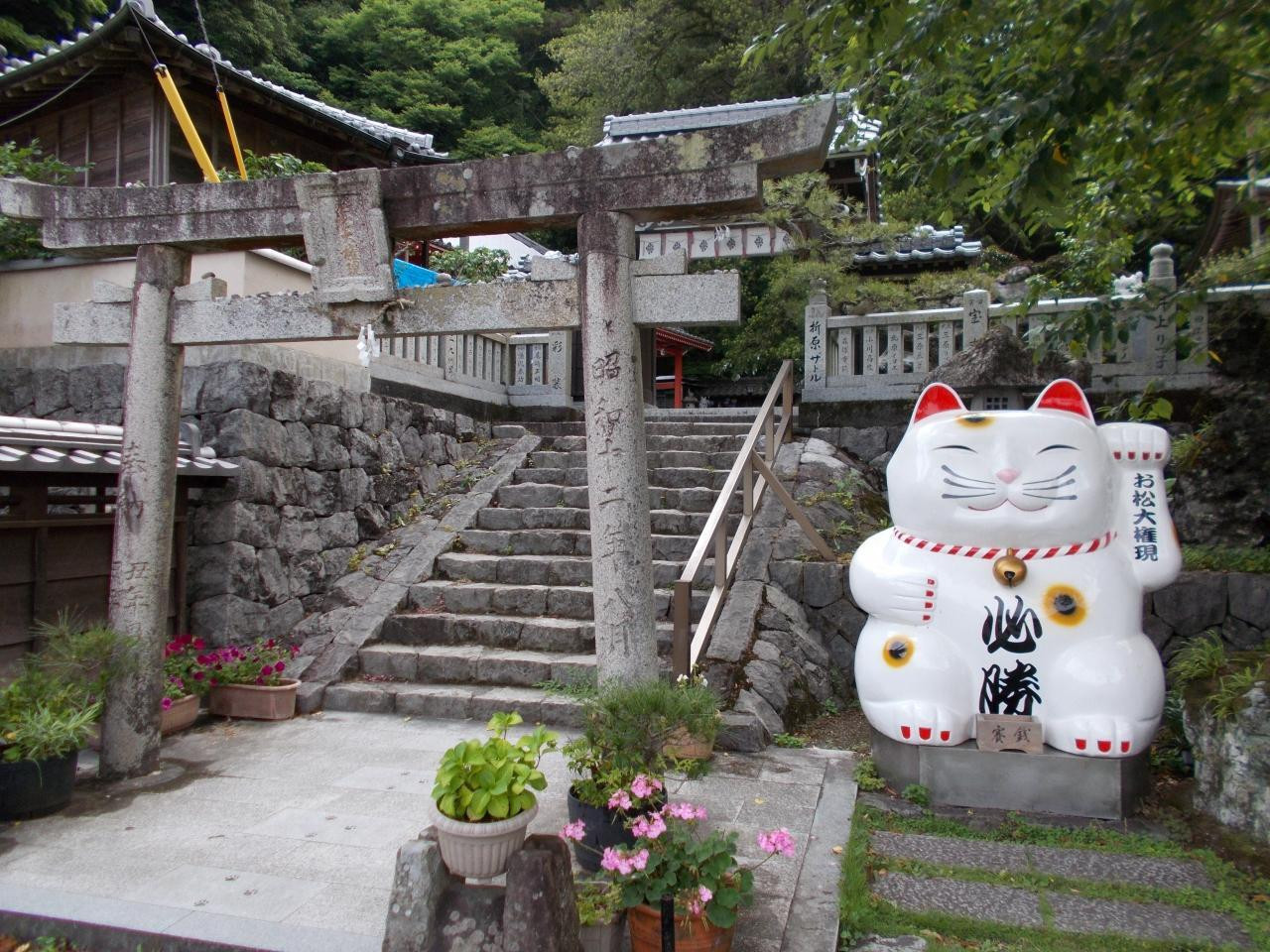 約1万体の招き猫が奉納されている、勝負事の神社4090754