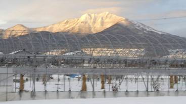 マウンテン ビュー / 34