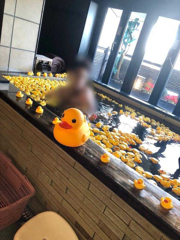 kn.pkmsさんの写真 / 1