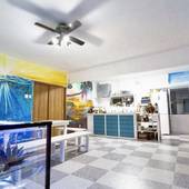 伊良部島ゲストハウスオーシャン（沖縄県 ゲストハウス・ホステル・ドミトリー） / 2