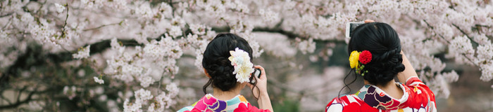 京都へ花見女子旅するなら♡桜の名所近くにあるホテル・宿5選