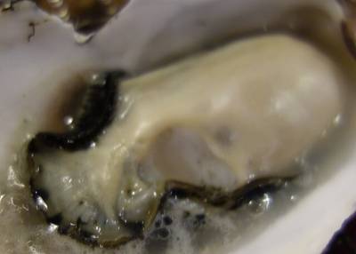 クラブシャック