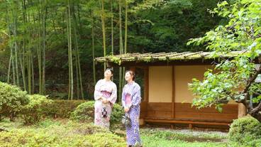 テラス / パティオ / 14