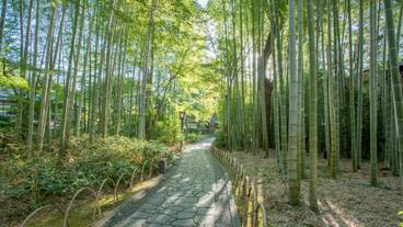下田蓮台寺温泉 清流荘（シモダレンダイジオンセン セイリュウソウ） / 3