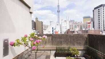 施設からの眺望 / 18