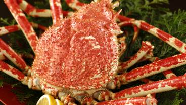 夕食一例／タカアシガニ / 8