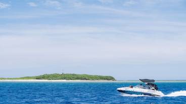 ロープ コース (チーム ビルディング用) / 1