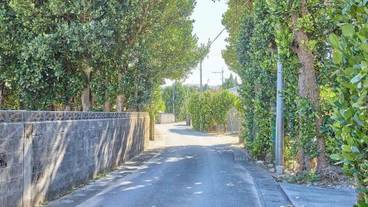 シティ ビュー / 16