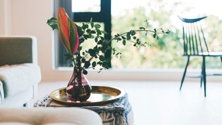 デザイン スイート 1 ベッドルーム 禁煙 パーシャル オーシャン ビュー (S02)