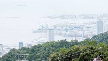 観光スポット / 7