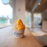 リビスコ（リビスコ）