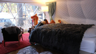 Glamping Hanz Pao (大人2名)