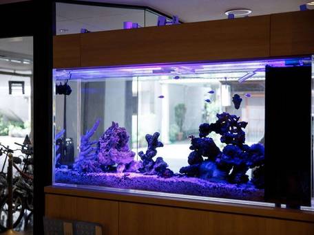 金沢駅前ホテル / 2