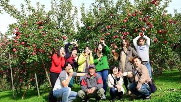 施設の敷地 / 29