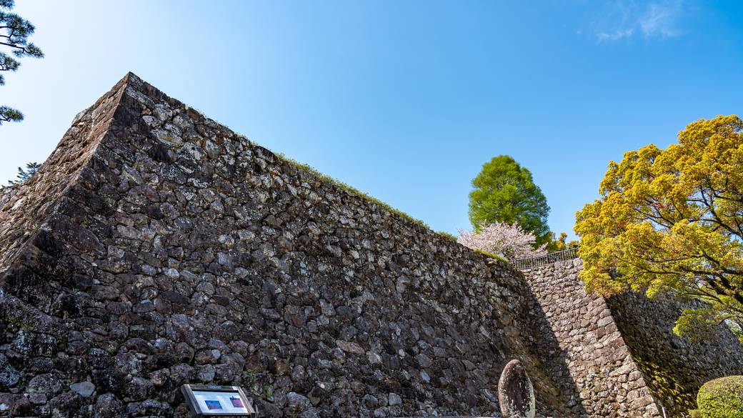 高知城 石垣 / 2