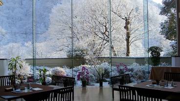 ロビーラウンジ / 5