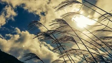 ハイキング / 11