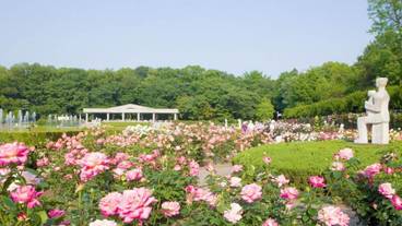 施設の敷地 / 13