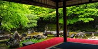 京都・女ひとり旅。名庭を眺める、癒しのお寺巡りをご案内。
