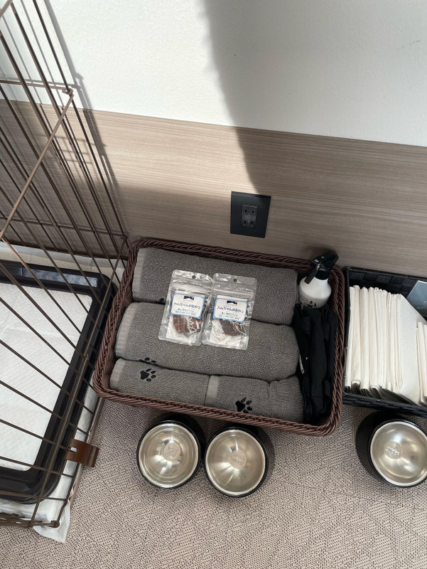 hakutoyubaさんの写真 / 8