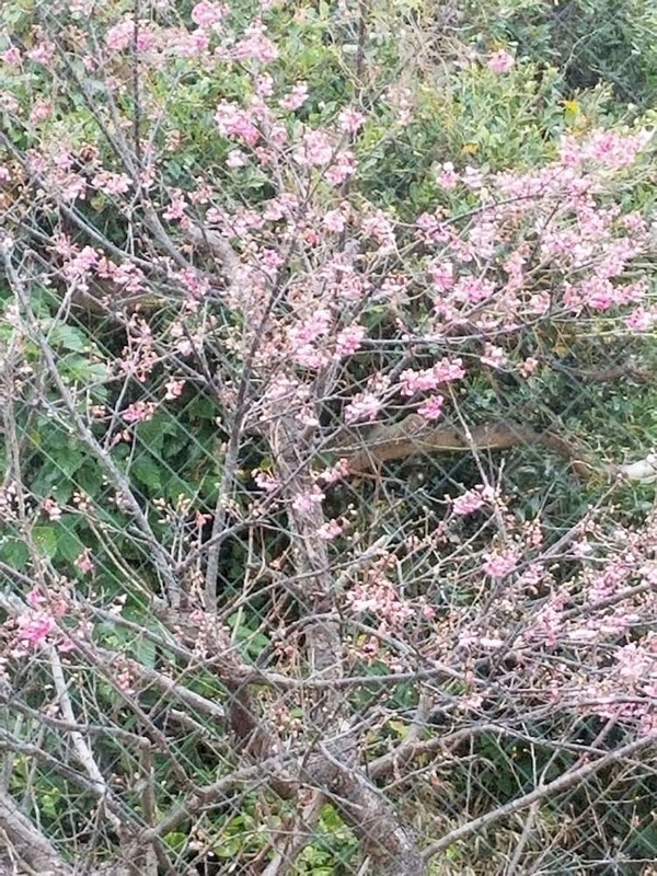 施設からの眺望