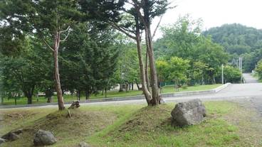 部屋からの景観 / 15