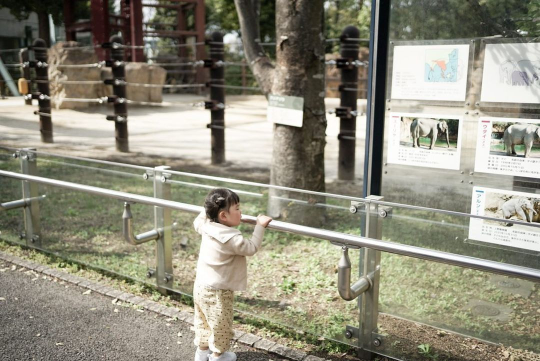 su_zoo_sansanさんの写真 / 3