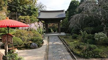 観光スポット / 13