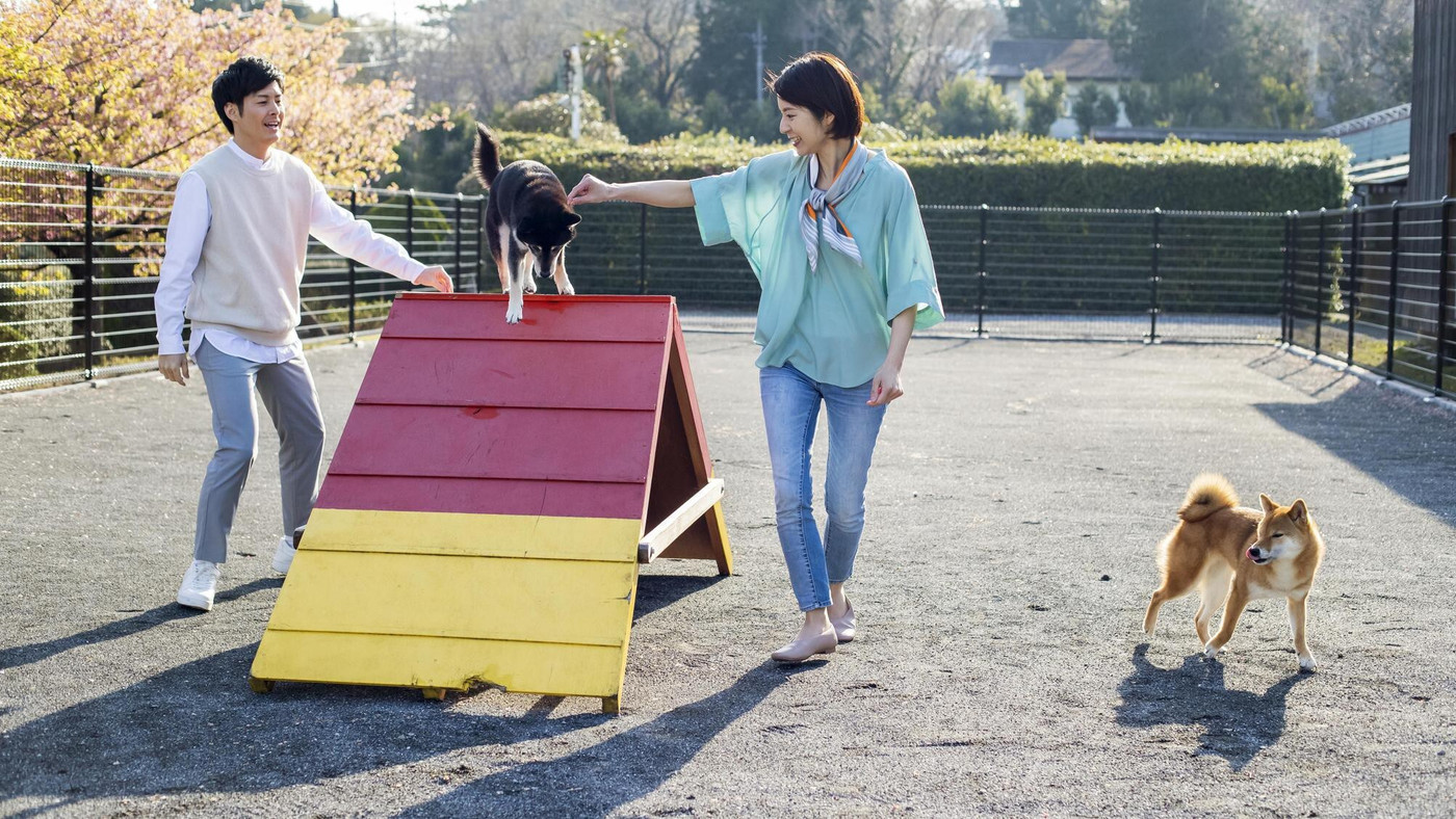 小春ちゃん4069501